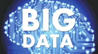 大数据技术项目 内包与外包策略抉择及其对软件销售的影响