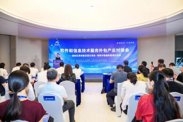 雄安高新区“数智驱动，外包赋能”软件和信息技术服务外包产业对接会成功举办